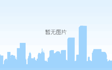安全专家服务